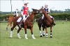 UKPA NC SAT_2731